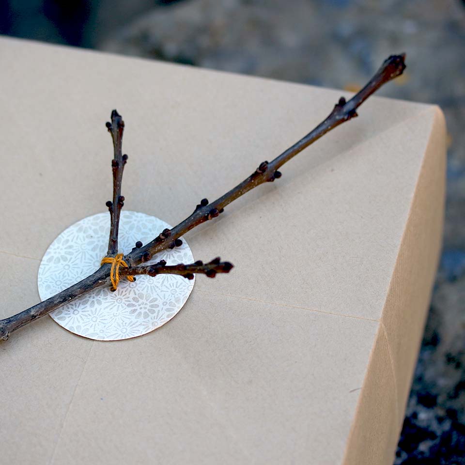 Calendrier de l'avent Petites feuilles – Image 9