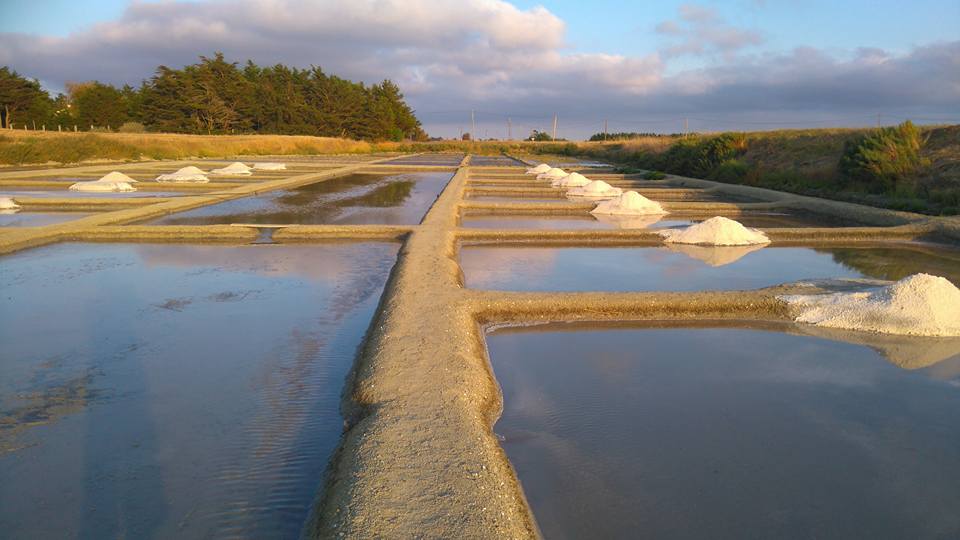 Protégé : Provenance et certification de notre sel