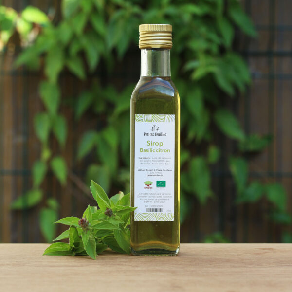 Sirop de basilic citron