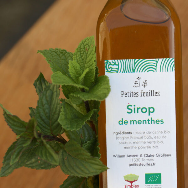 Sirop de menthes – Image 2