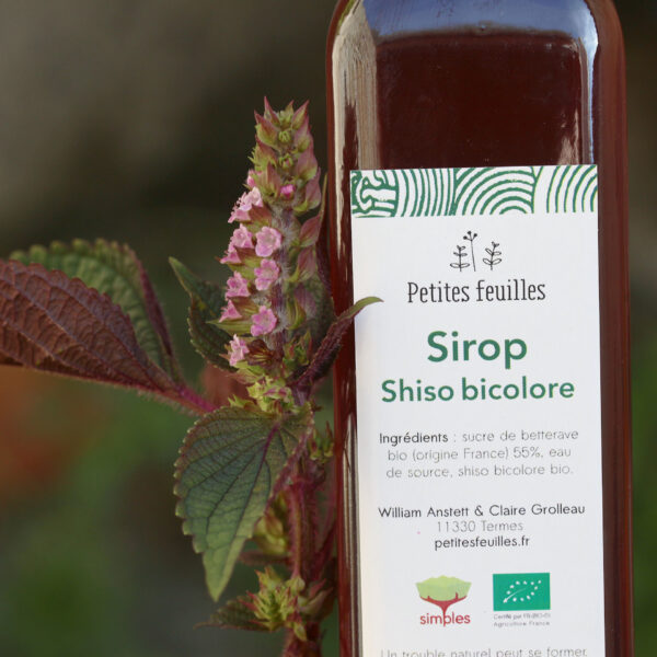 Sirop de shiso bicolore – Image 2