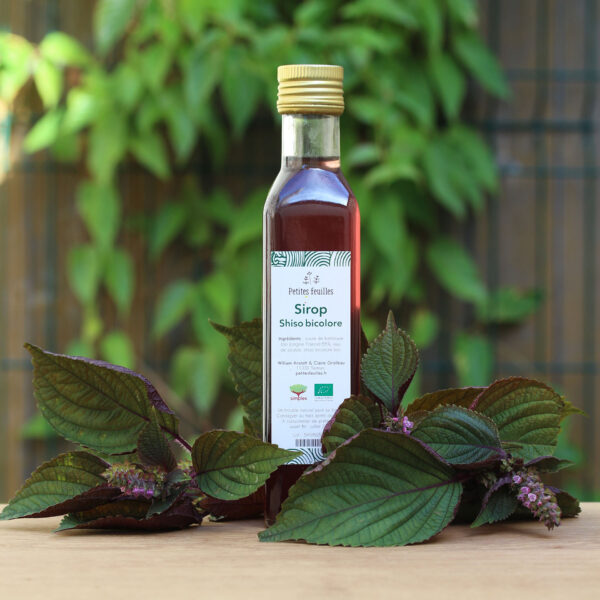 Sirop de shiso bicolore