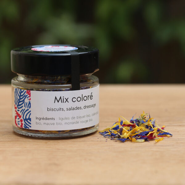 Mix coloré – Image 2