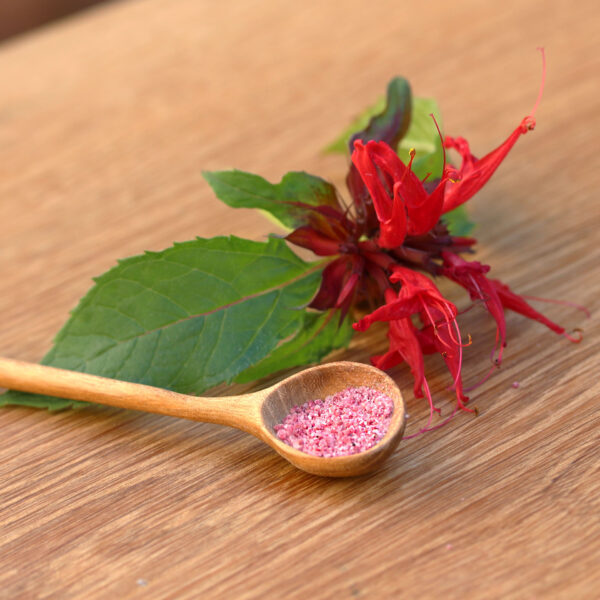 Sucre gourmand - Monarde rouge – Image 3